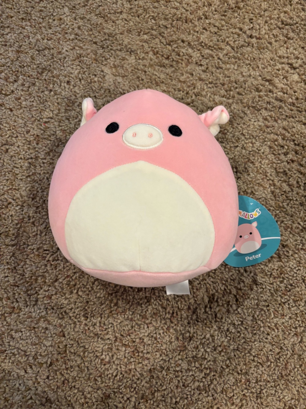 7 in NWT Peter the Pig Squishmallow
